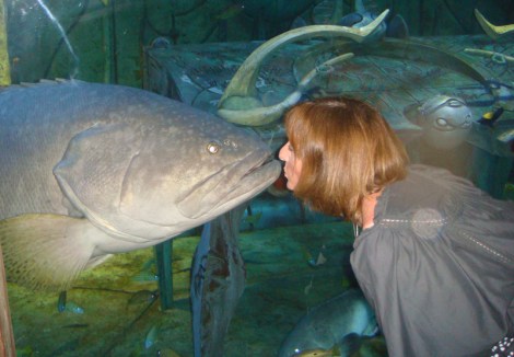 love kissing a giant hummour by Eva the Dragon