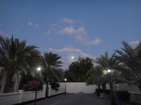 Full Moon Meeting by Eva the Dragon 2012