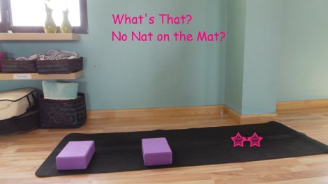 1 what is that no nat on the mat with words