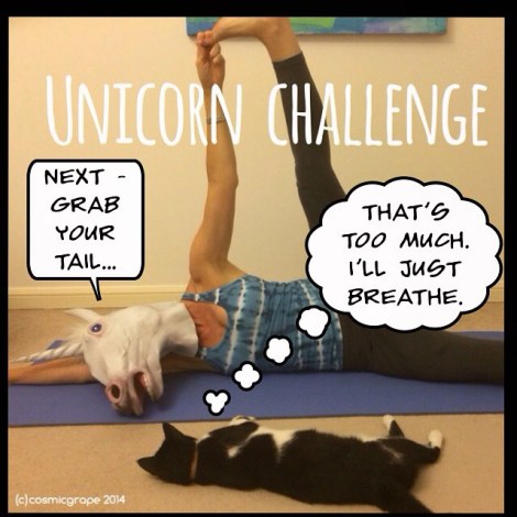 anantasana unicorn challenge cosmic grape 2014