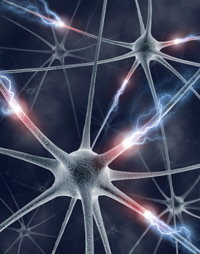 neuron2 synaptic transmission